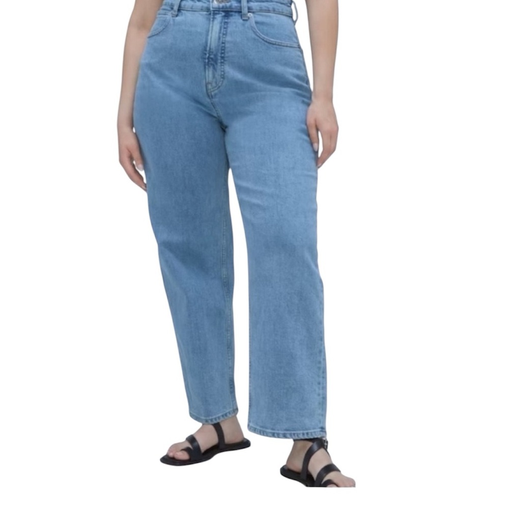 Everlane The Curvy Way High Jean 29